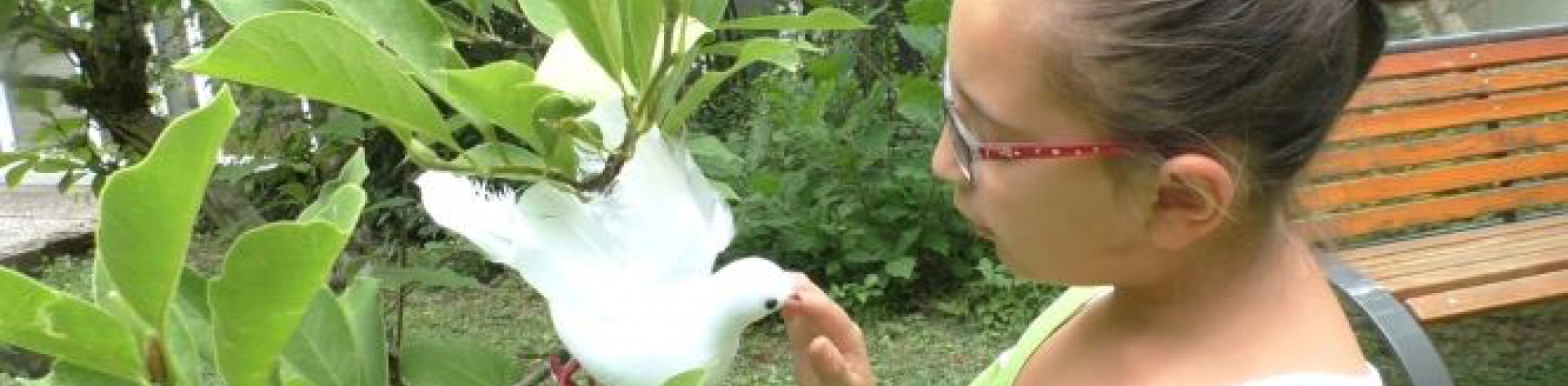 Mädchen berührt weiße Taube, die auf Busch sitzt