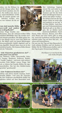 Galeriebild: Kaelbchen Kalb Kuh 2