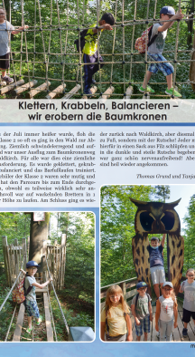 Galeriebild: Klettern Krabbel Balancieren Baumkronen 1